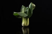 Waarom 9 op de 10 Nederlanders te weinig vezels eten